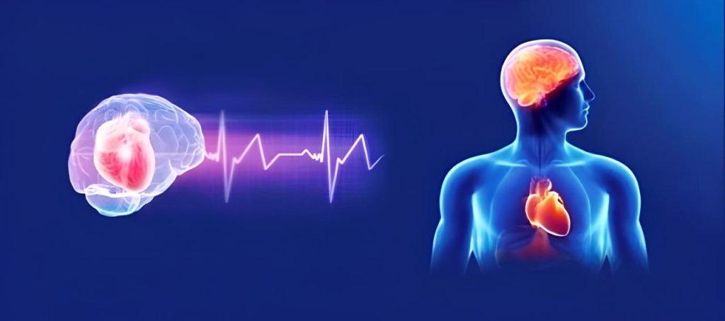 Coerenza cardiaca: sincronizzare cuore e cervello per il benessere