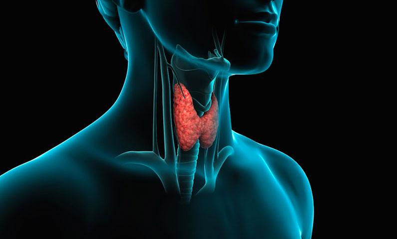 Salute della tiroide: nutrienti essenziali e nemici da evitare