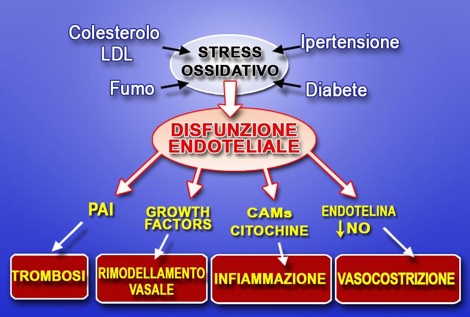 L’impatto dello stress ossidativo sull’invecchiamento cellulare