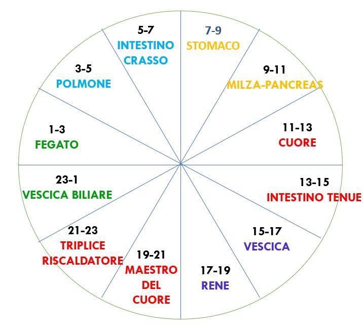 Cronobiologia: vivere e mangiare secondo il proprio orologio biologico